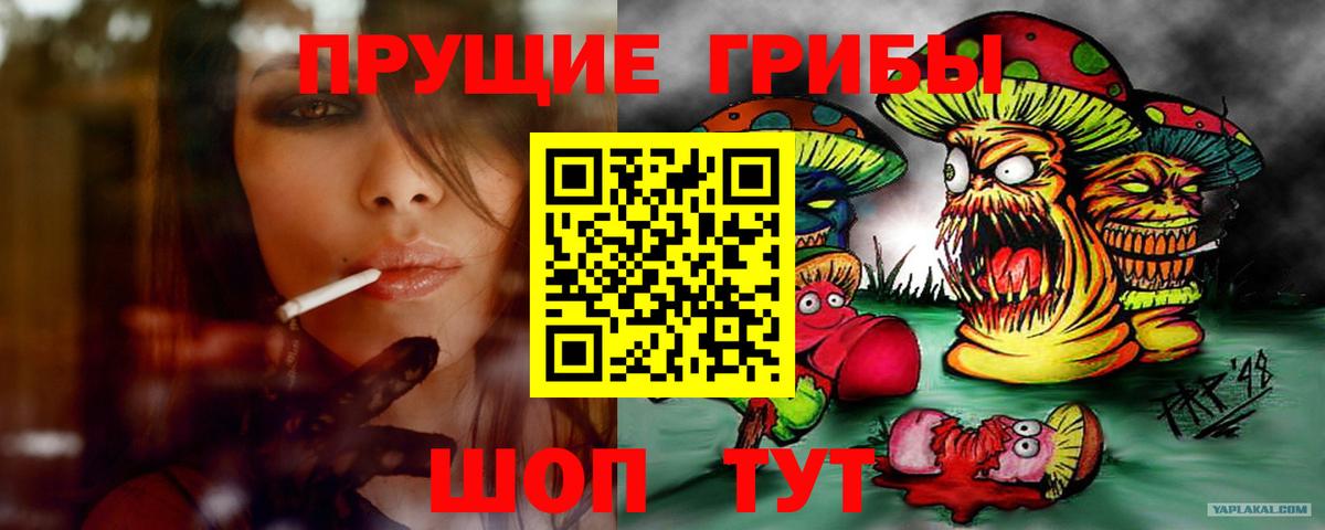 Галлюциногенные грибы мухоморы  Вход с VPN  Кингисепп 